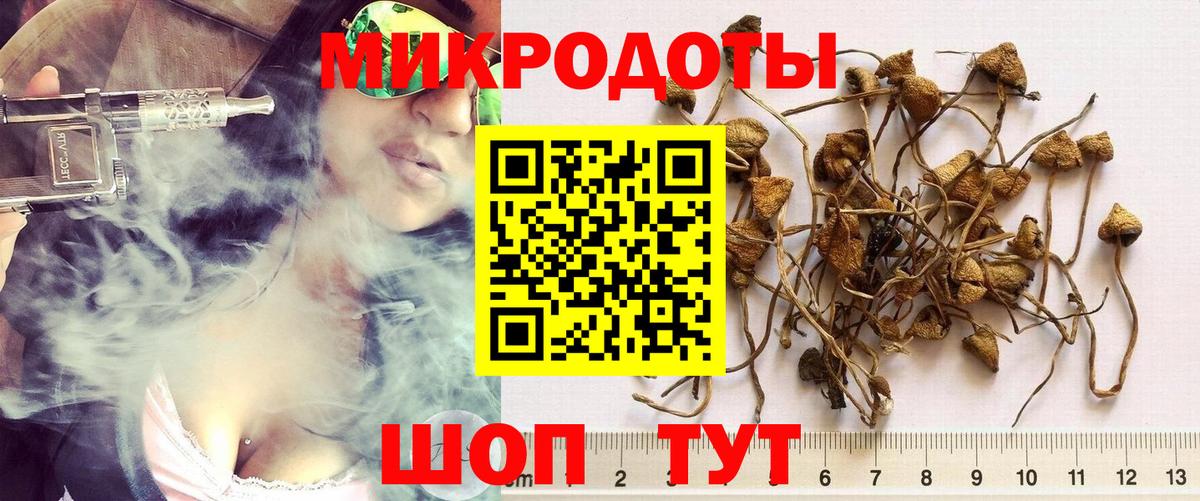 Галлюциногенные грибы ЛСД  Вход с VPN  Зеленодольск 