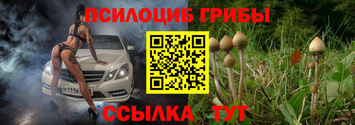 Псилоцибиновые грибы GOLDEN TEACHER Зеленодольск